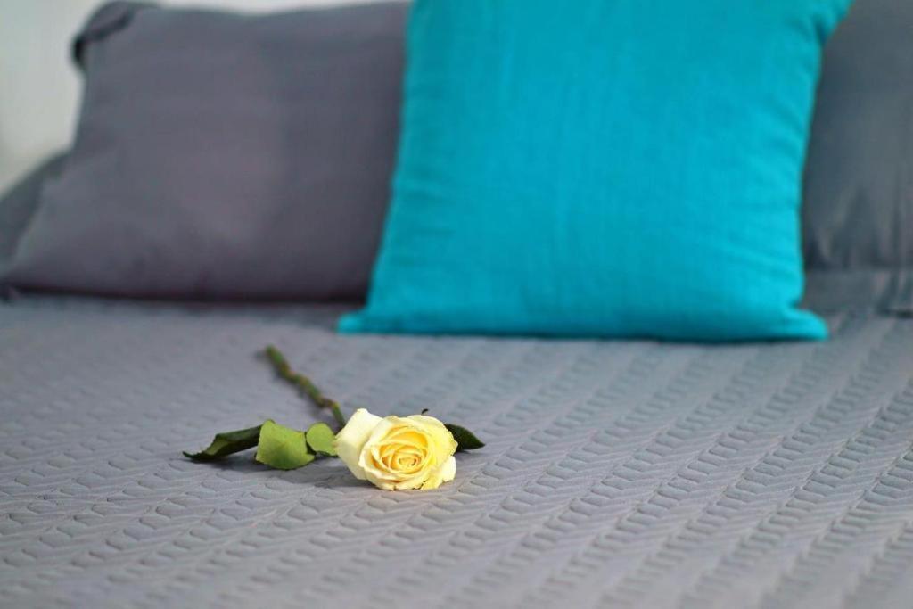Blue Heart Mykonos Up To 10 People Location * Mykonos Town